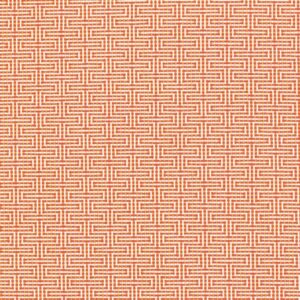 Marco polo - Mango